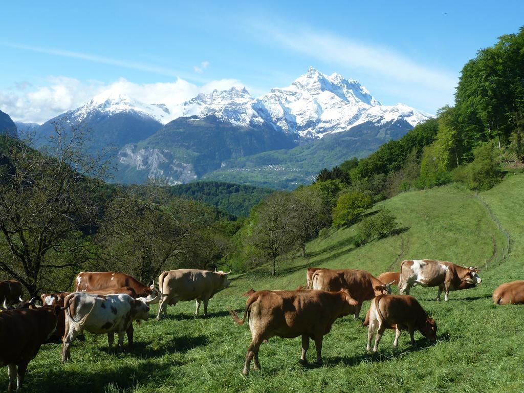La Petite Grange Villa Villars-sur-Ollon Dış mekan fotoğraf