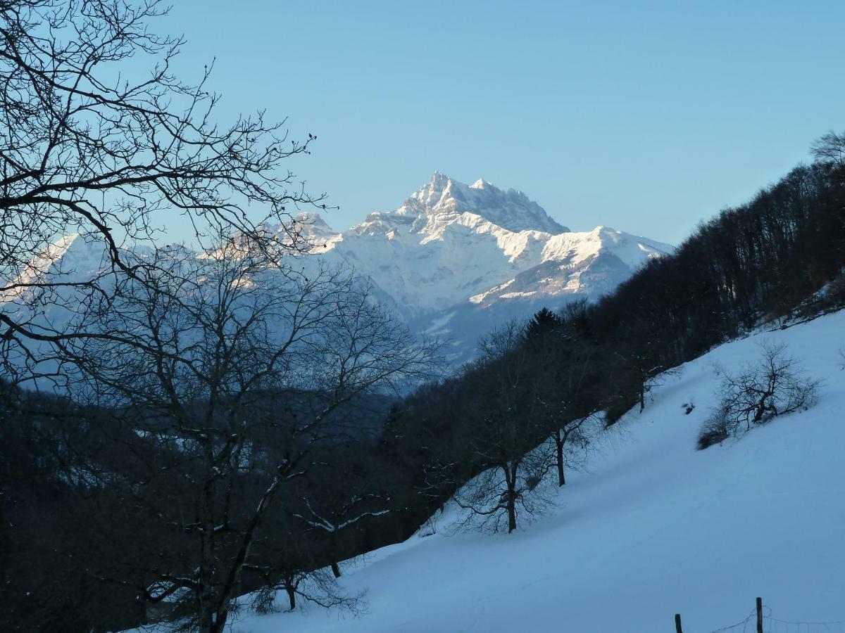 La Petite Grange Villa Villars-sur-Ollon Dış mekan fotoğraf